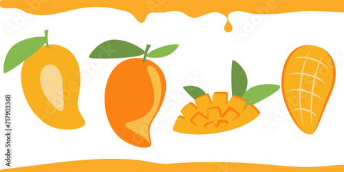 Mango flat design vector illustration. Composition of a whole mango and its parts in a simple style.