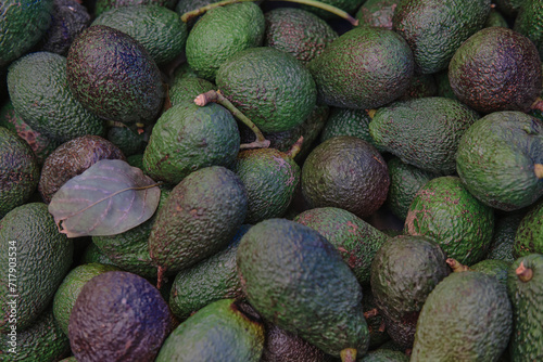 Avocado also refers to the Avocado tree's fruit, which is botanically a large berry containing a single seed. Avocados are very nutritious and contain a wide variety of nutrients