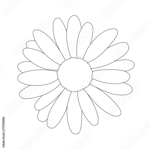daisy flower coloring book