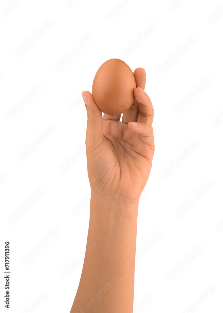 Hand holding brown chicken egg isolated on white background Hand holding brown chicken egg isolated on white background