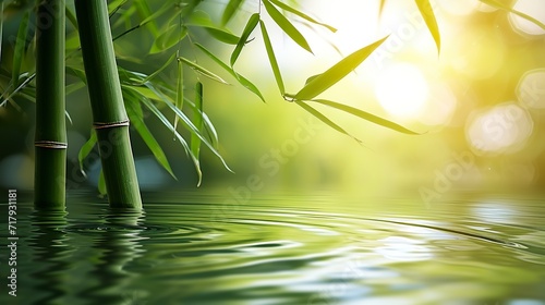 Bamboo stalks in a row in water on sunny background. Bamboos in a peaceful and natural landscape. Green background with bamboo stems in Asian spirit. photo