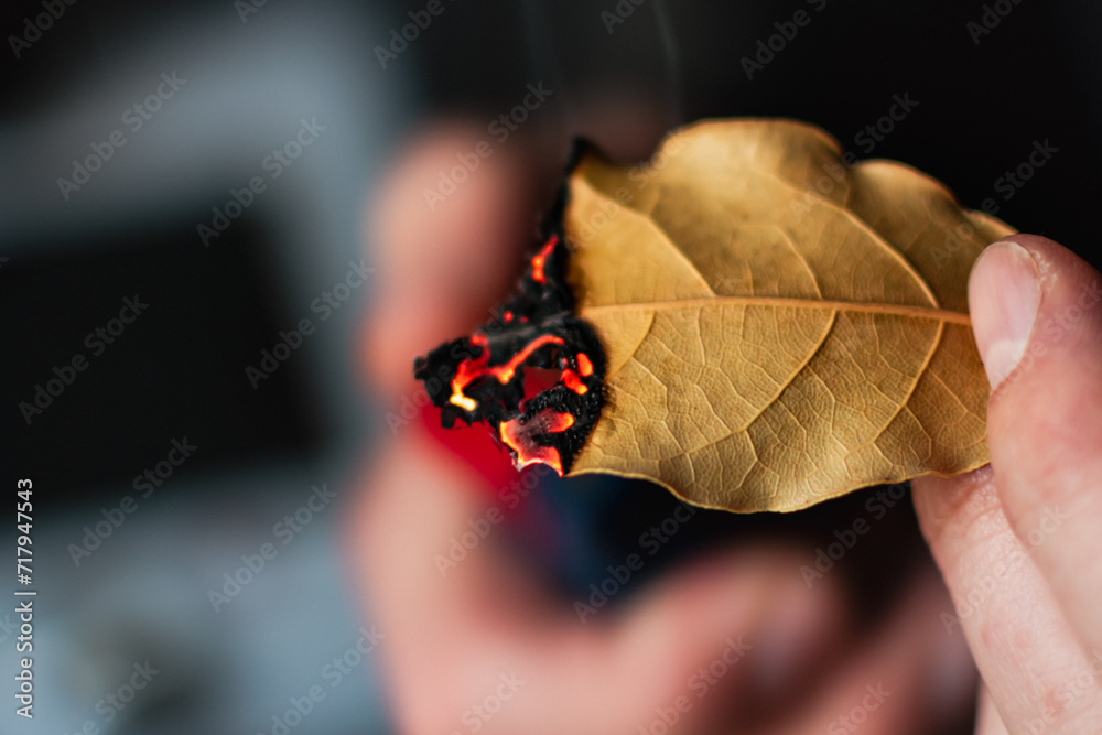 Person who burn bay leaves to bring serenity, reduce anxiety, relieve