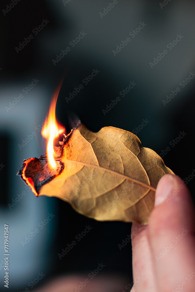 Person who burn bay leaves to bring serenity, reduce anxiety, relieve
