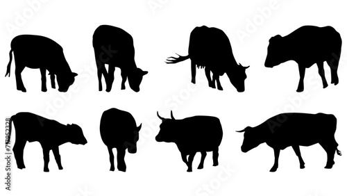 Set of cows in silhouette isolated on white background. The cows eat and walk. Cattle clipart.