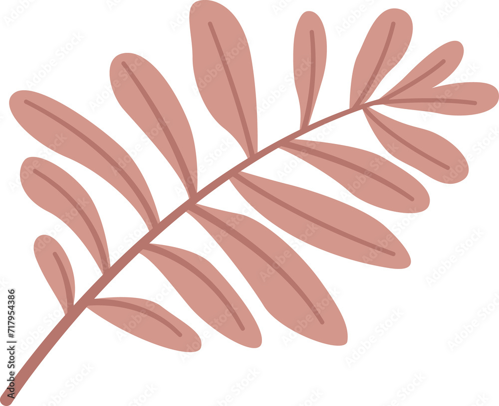 leaves. Hand drawn decorative elements leaves. Hand drawn decorative elements
