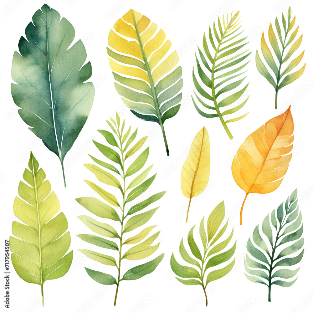 Watercolor illustration set with tropic leaves. Isolated on transparent background. Perfect for card, postcard, tags, invitation, printing, wrapping.