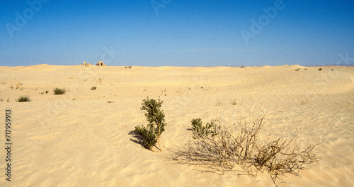 Grand Erg oriental, désert du Sahara, Tunisie