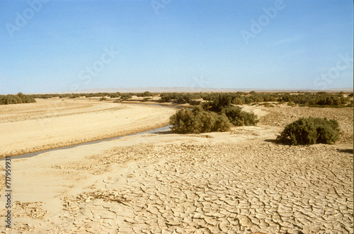 Grand Erg oriental  d  sert du Sahara  Tunisie