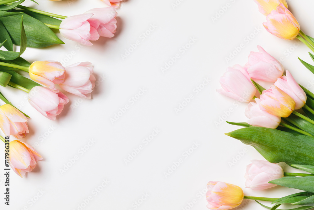Light pink and yellow blooming tulips flowers row over white background. Spring holiday banner, frame, border, happy easter card, mothers day, international womans day. Flat lay, top view, copy space Light pink and yellow blooming tulips flowers row over white background. Spring holiday banner, frame, border, happy easter card, mothers day, international womans day. Flat lay, top view, copy space