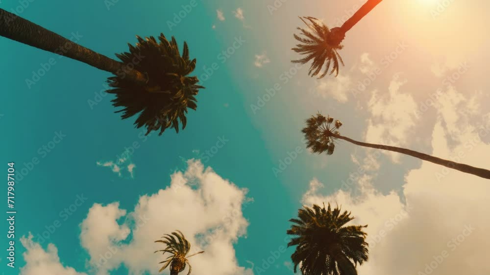 Looking up sunbeams through palm trees swaying in the wind on sunny blue sky. Camera looks up as it moves past rows a palm trees. 