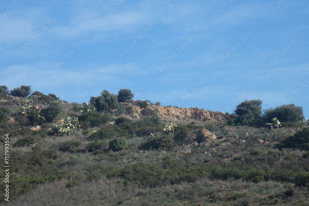 Immagini della campagna sarda Immagini della campagna sarda