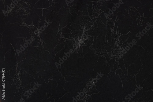 Fototapeta Naklejka Na Ścianę i Meble -  Pet hair on black fabric, top view
