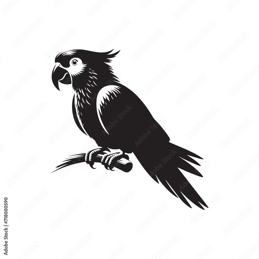 Obraz premium Sun-Kissed Silhouettes: Parrot Silhouettes Bathed in the Golden Glow of a Tropical Sunrise - Parrot Illustration - Parrot Vector 
