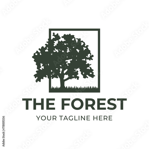 Tree logo design. Pine forest logo vector illustration