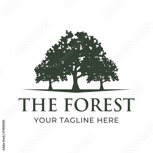 Tree logo design. Pine forest logo vector illustration