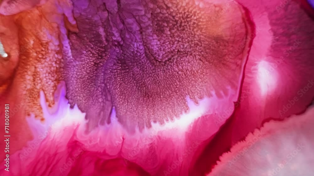 Pink and purple ink diffusion in water with intricate fractal patterns, macro shot