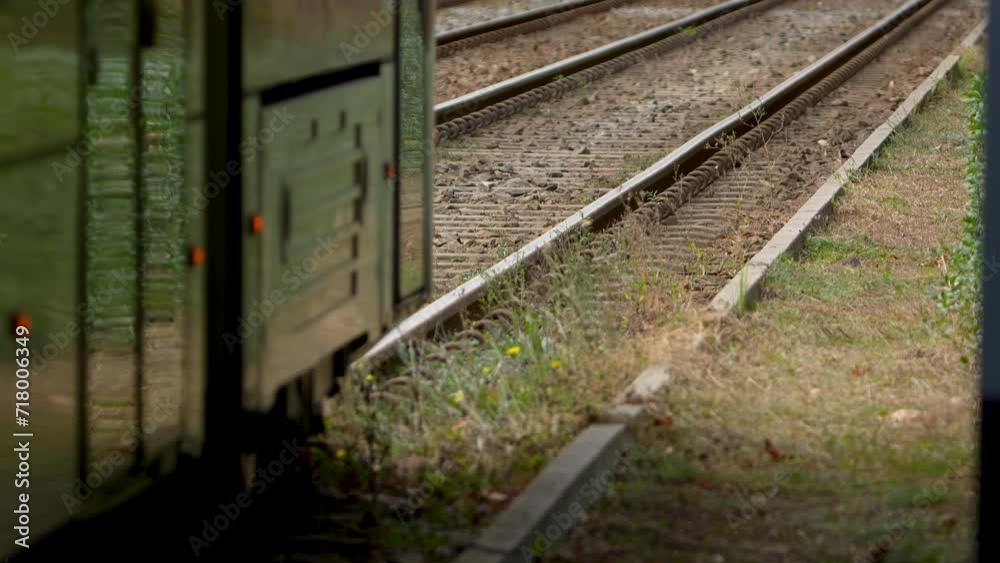 Train carriages on tracks surrounded by greenery, side view, daytime, slow-motion Train carriages on tracks surrounded by greenery, side view, daytime, slow-motion
