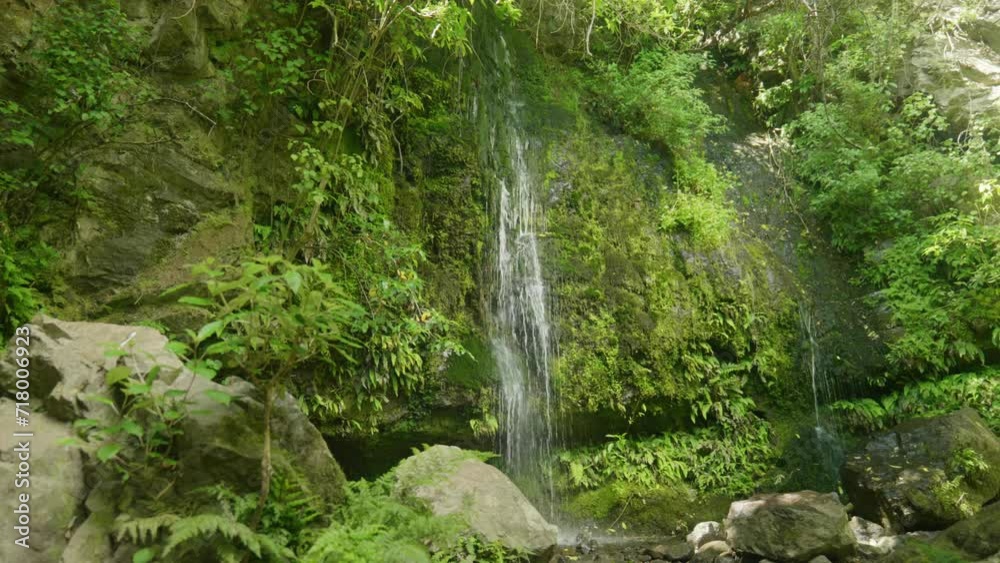 Graceful cascade in New Zealand, a small yet mesmerizing waterfall Graceful cascade in New Zealand, a small yet mesmerizing waterfall