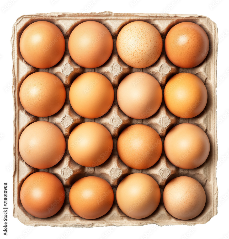 Brown chicken eggs in the cardboard egg tray isolated. Brown chicken eggs in the cardboard egg tray isolated.