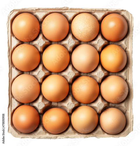 Brown chicken eggs in the cardboard egg tray isolated.