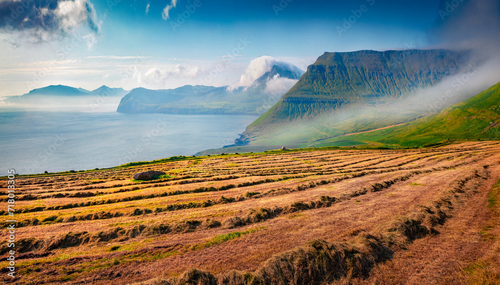 Haymaking in Faroe Islands. Misty morning view of mountain peaks. Wonderful summer scene of outskirts of Velbastadur village, Denmark, Europe. Beauty of countryside concept background. - obrazy, fototapety, plakaty 