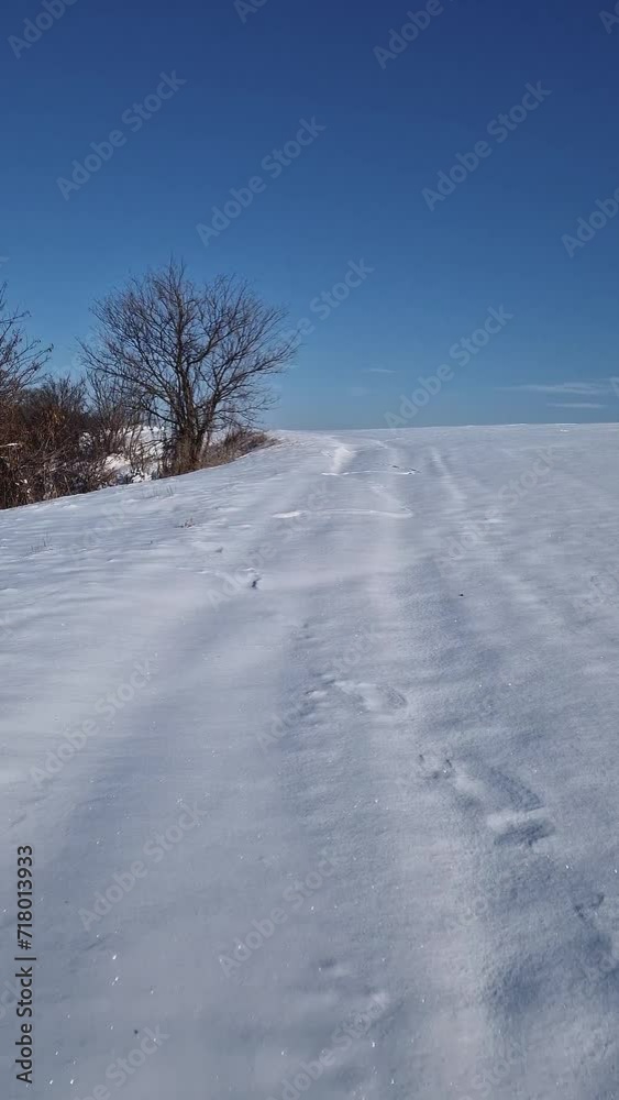 Beautiful winter scene with a snow covered land near the forest Beautiful winter scene with a snow covered land near the forest