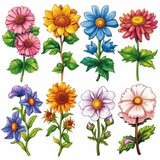 Graphic design with seasonal flowers