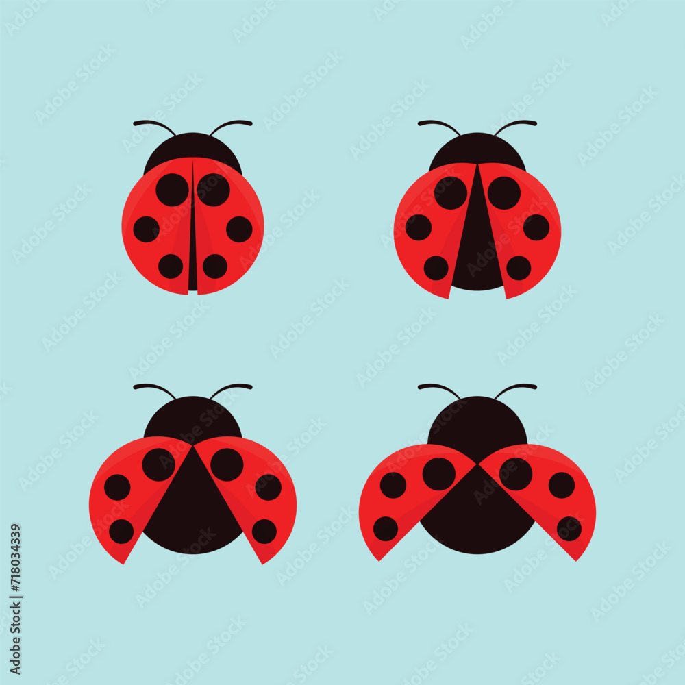 Fototapeta premium Ladybug Vector Illustration