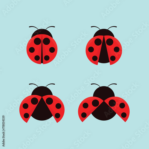 Ladybug Vector Illustration