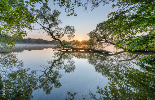Fototapeta Naklejka Na Ścianę i Meble -  Serene lake with green trees illuminated by morning sunlight