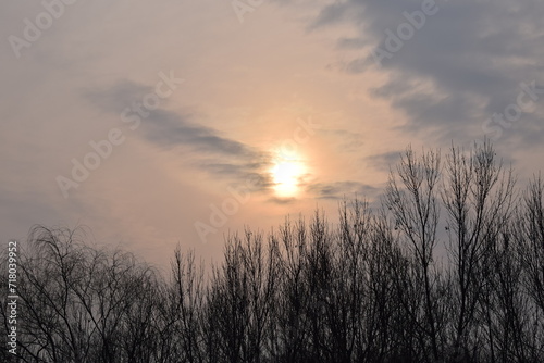Cloudy sky with sun above leafless trees