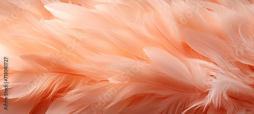 Trendy peach feather textureclose up apricot fluffy feathercolor of the year 2024 peach fuzz.