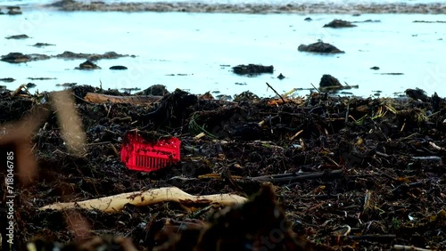 Vivid red crate stands out among driftwood and plant matter debris on beach photo