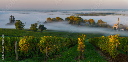 Sunset landscape and smog in bordeaux wineyard, Loupiac, France, Europe, High quality photo