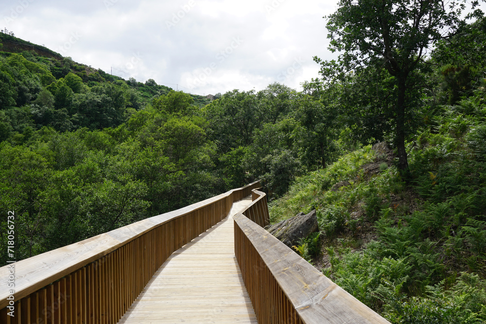Wooden walkway in the dense forest of the Mondego paths in Guarda, Portugal

