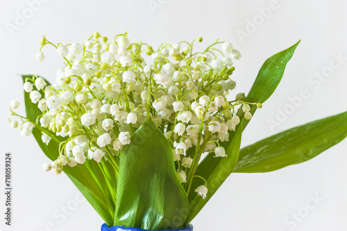 Close up for a bouquet of white lilies of the valley on a white background; International worker day symbol