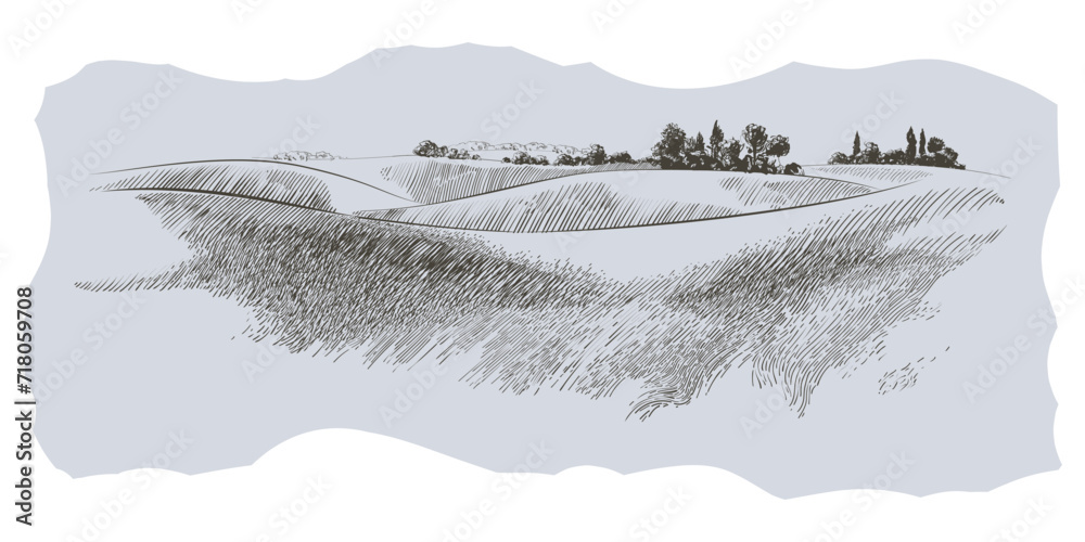 Vector sketch Green grass field on small hills. Meadow, alkali, lye, grassland, pommel, lea, pasturage, farm. Rural scenery landscape panorama of countryside pastures. illustration - obrazy, fototapety, plakaty 