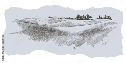 Vector sketch Green grass field on small hills. Meadow, alkali, lye, grassland, pommel, lea, pasturage, farm. Rural scenery landscape panorama of countryside pastures. illustration