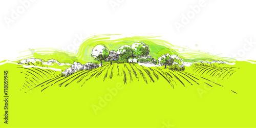Vector sketch Green grass field on small hills. Meadow, alkali, lye, grassland, pommel, lea, pasturage, farm. Rural scenery landscape panorama of countryside pastures. illustration