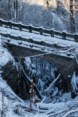 Snow Bridge in Saxony Switzerland national park in Germany on sunny winter day.