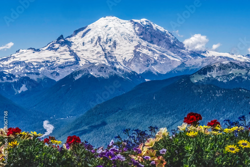Colorful Flowers Mount Rainier Crystal Mountain Lookout Pierce C