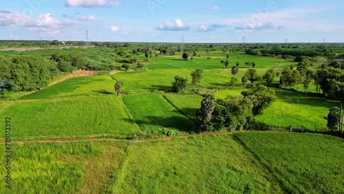 Lush green farmland with patchwork fields under a clear sky, aerial view. Karaikudi, Tamil Nadu, India photo