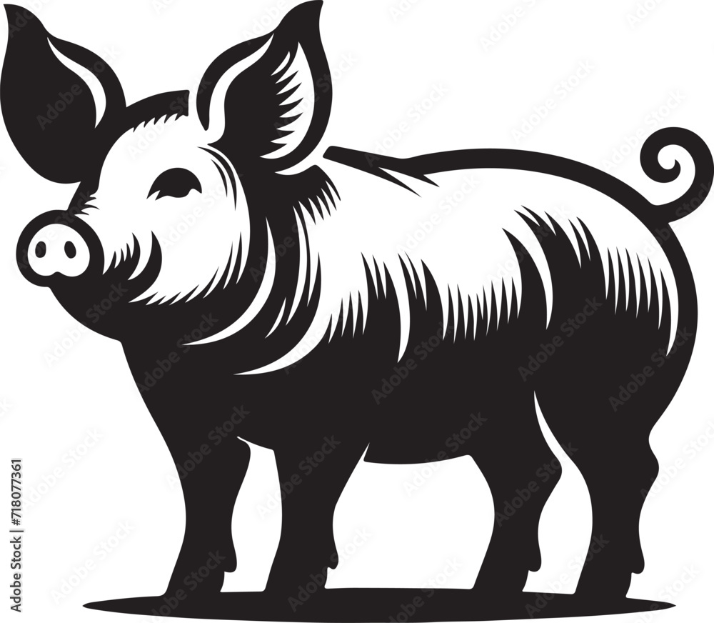  Pig vector illustration
