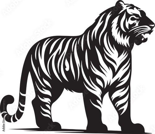  tiger vector illustration
