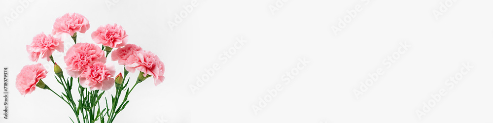 bouquet of pink carnation flower isolated on white background Top view Flat lay Holiday card 8 March, Happy Valentine's day, Mother's, Memorial, Teacher's day concept Copy space bouquet of pink carnation flower isolated on white background Top view Flat lay Holiday card 8 March, Happy Valentine's day, Mother's, Memorial, Teacher's day concept Copy space