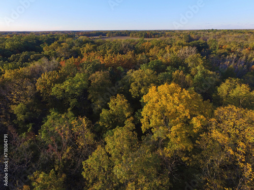Fototapeta Naklejka Na Ścianę i Meble -  Aerial Autumn Forest Canopy in Warm Hues - Bicentennial Acres, Indiana