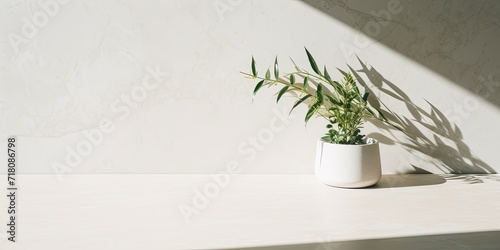 Marble table with pine leaves casting a shadow on a white concrete wall.