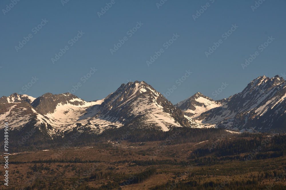 Snowy scenery of peak mountains and forests in the winter  High Tatras Slovakia 