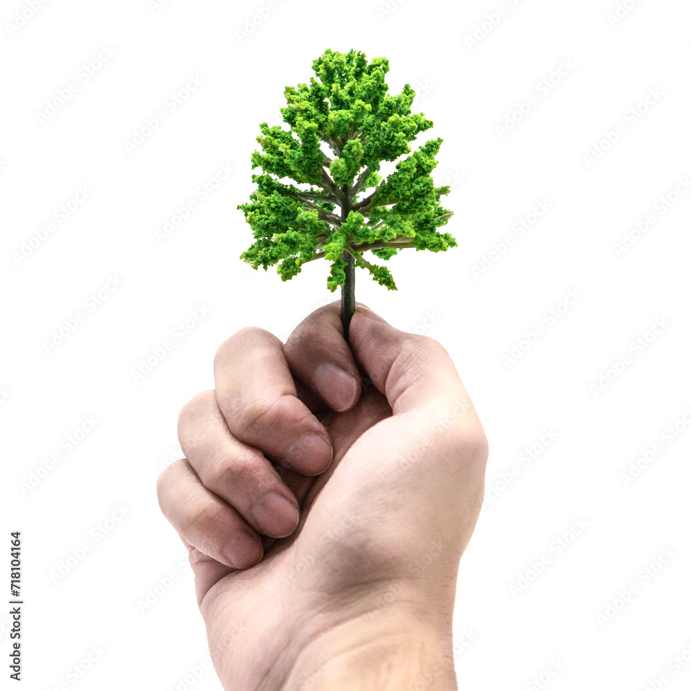 Hand holding green tree sapling isolated
Hand holding green tree sapling isolated