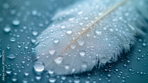 Fluffy white feather with water drops on light background, closeup